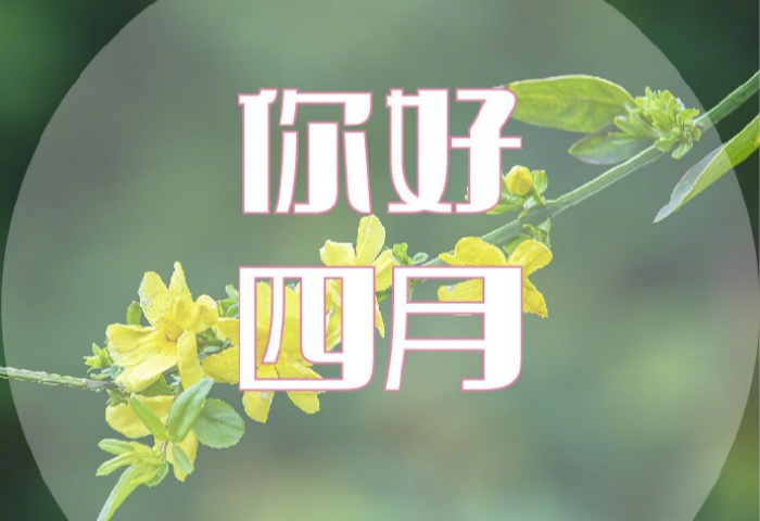 4 月装修，错过等一年！青岛业主必看的装修黄金时机​